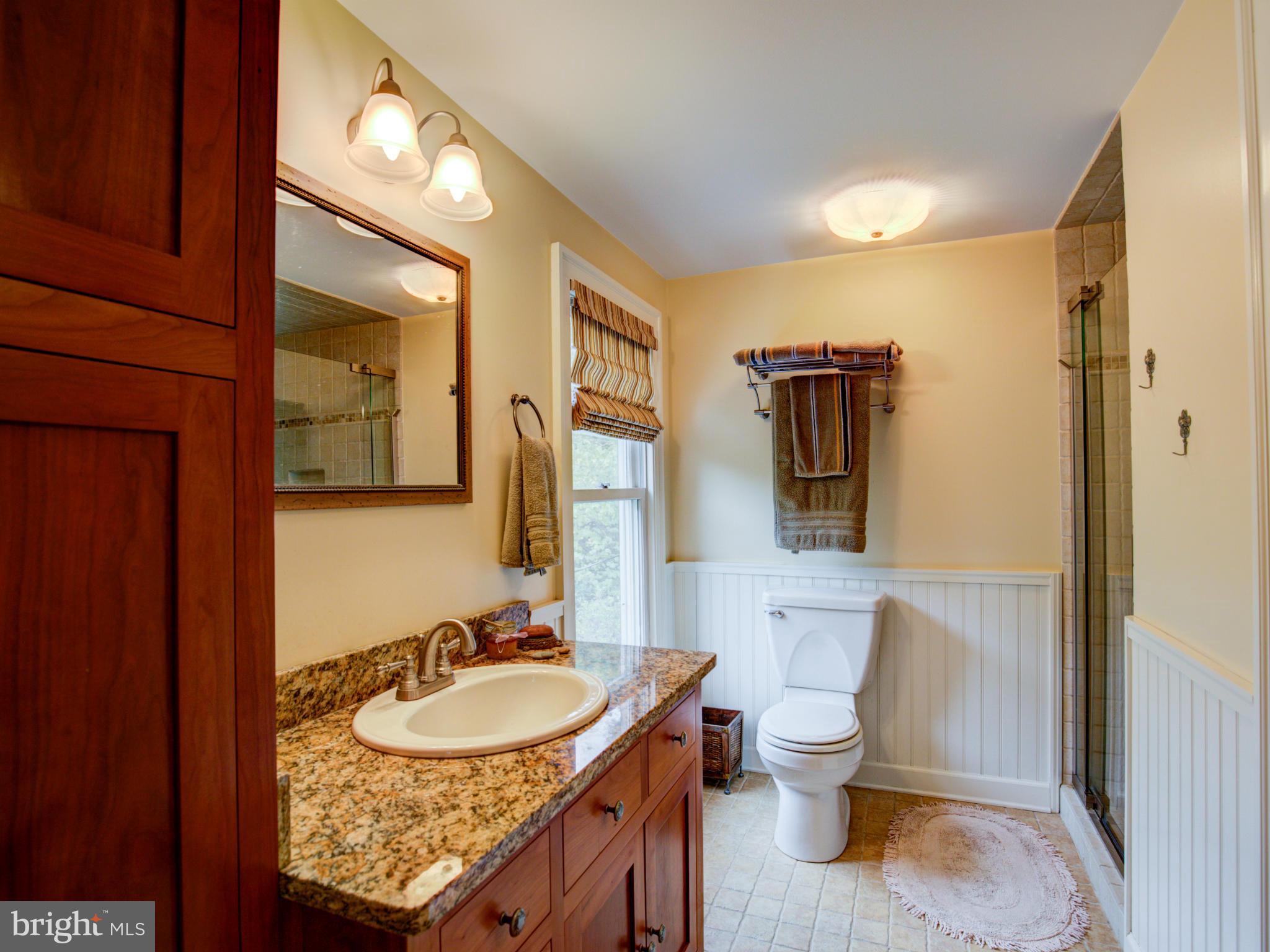 575 Redland Road Cross Junction, VA 22625 - Photo 17 of 30 Bath (Master)