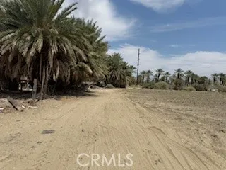 a view of outdoor space with trees