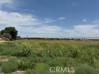 a view of a lake from a yard