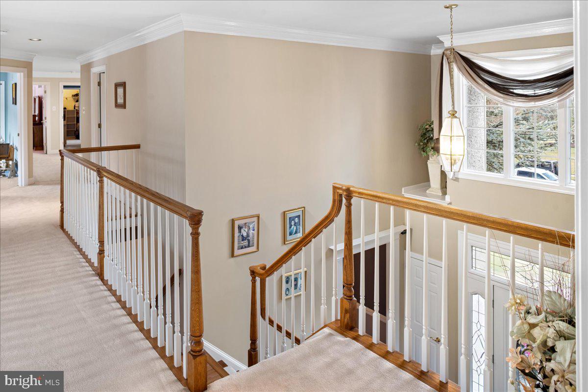 4525 Everview Drive Doylestown, PA 18902 - Photo 20 of 48