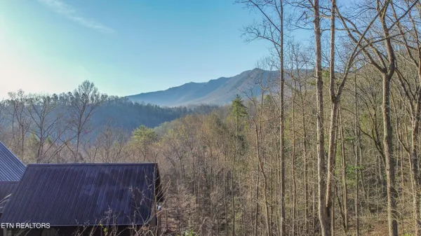 $21,000 | Cooper Hollow Road, Townsend, TN 37882