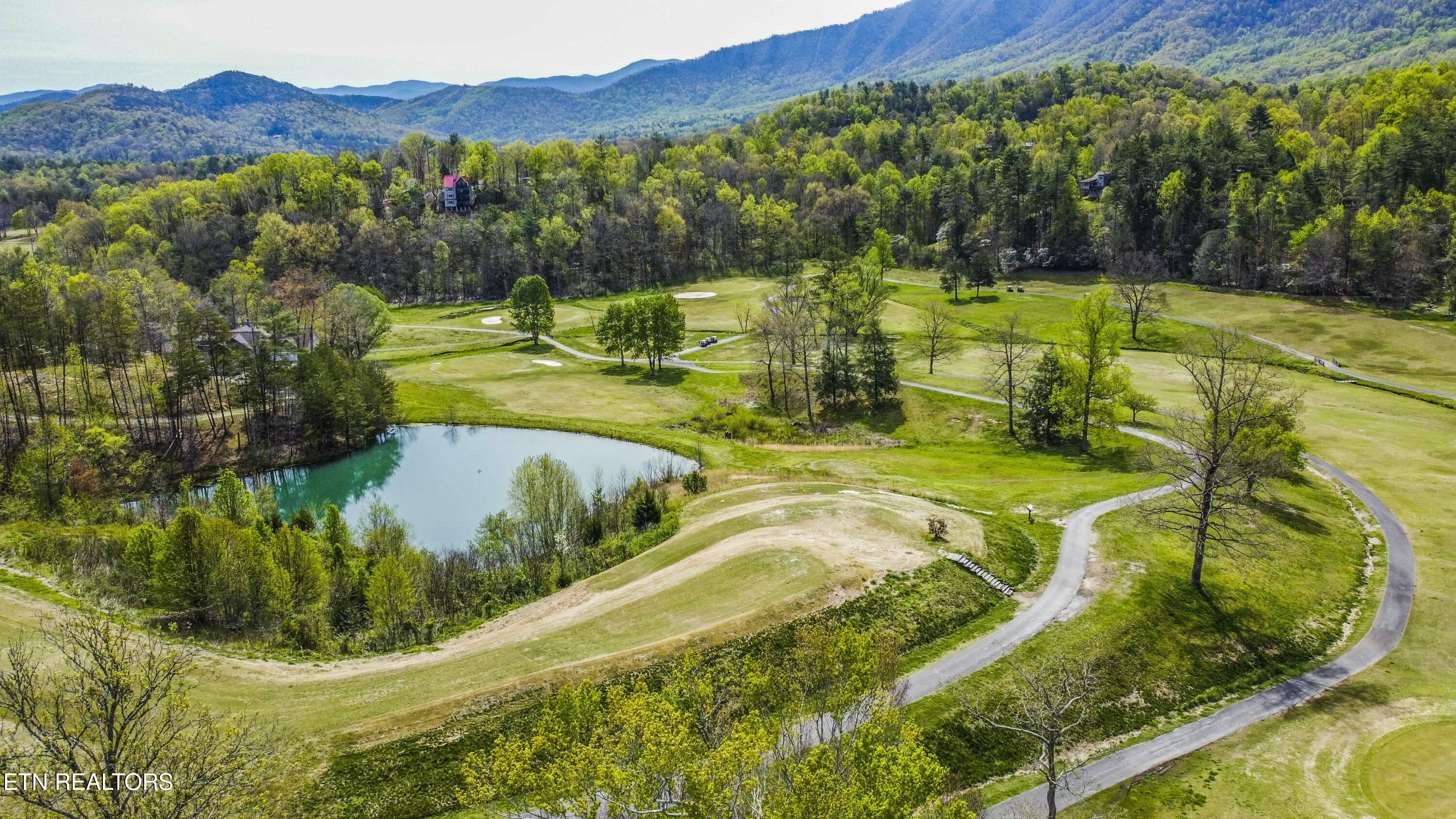 Cooper Hollow Road Townsend, TN 37882 - Photo 17 of 20 Laurel Valley
