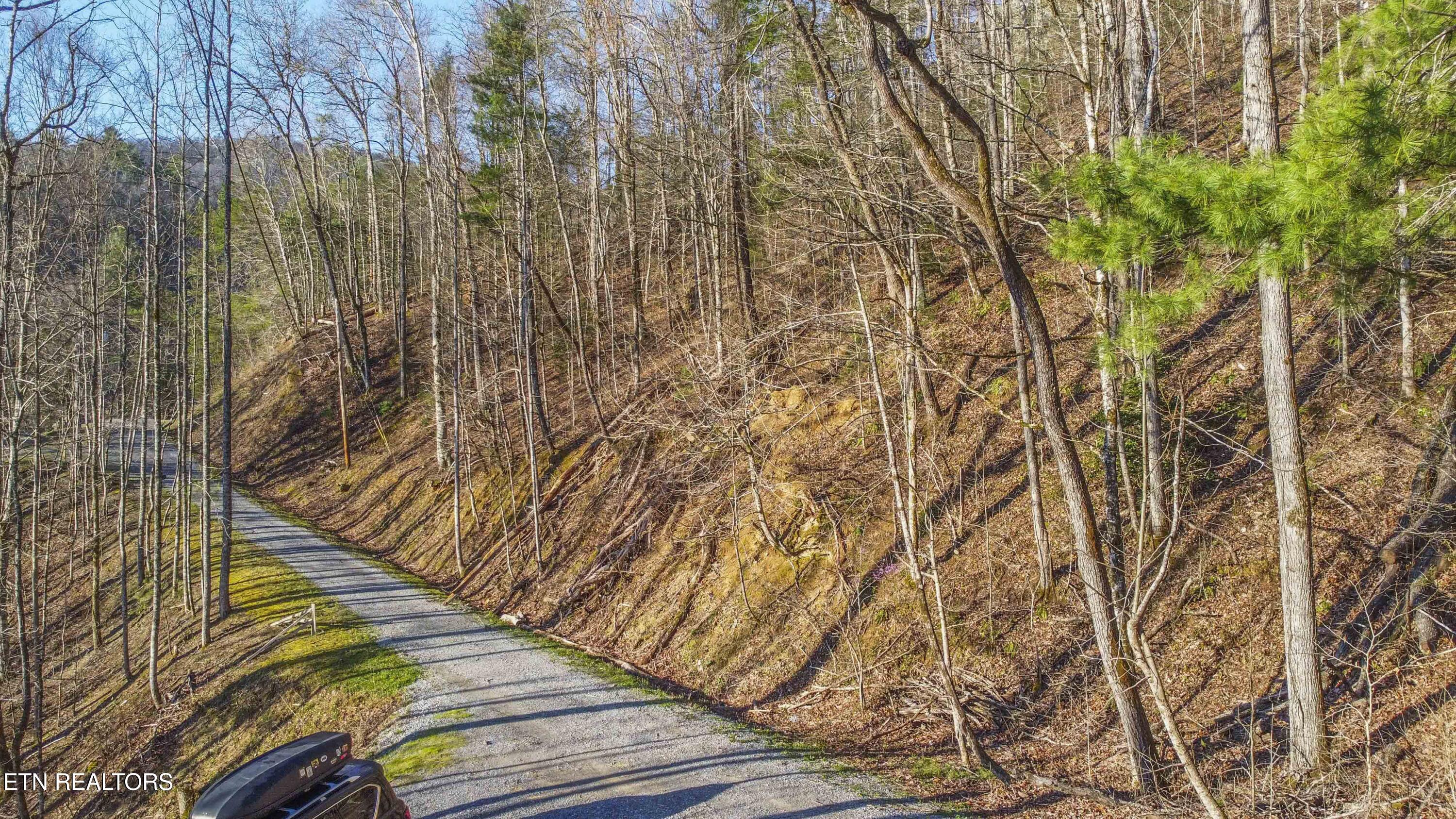 Cooper Hollow Road Townsend, TN 37882 - Photo 20 of 20 Cooper Hollow Road