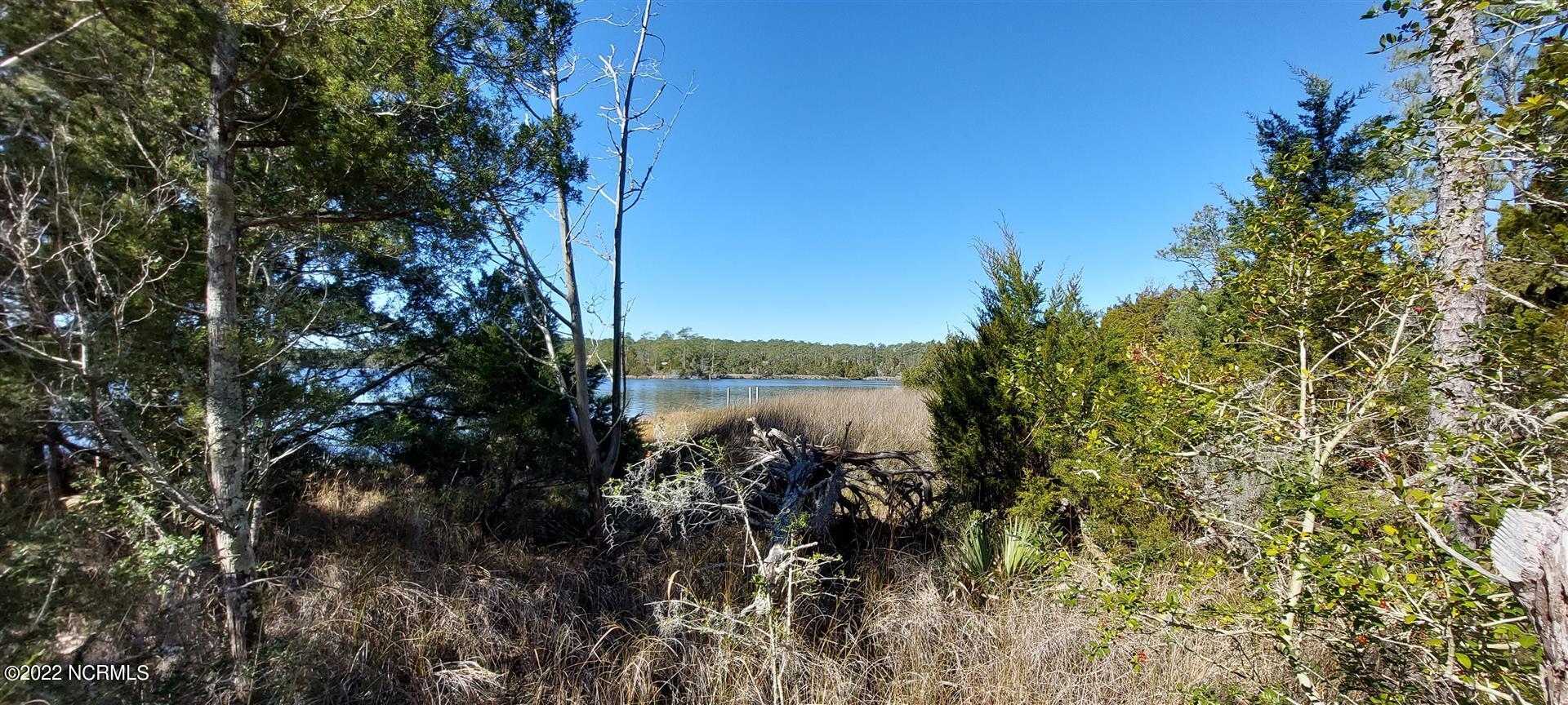 328 Meekins Road Bayboro, NC 28515 - Photo 15 of 18 20220209_111526 (Large)