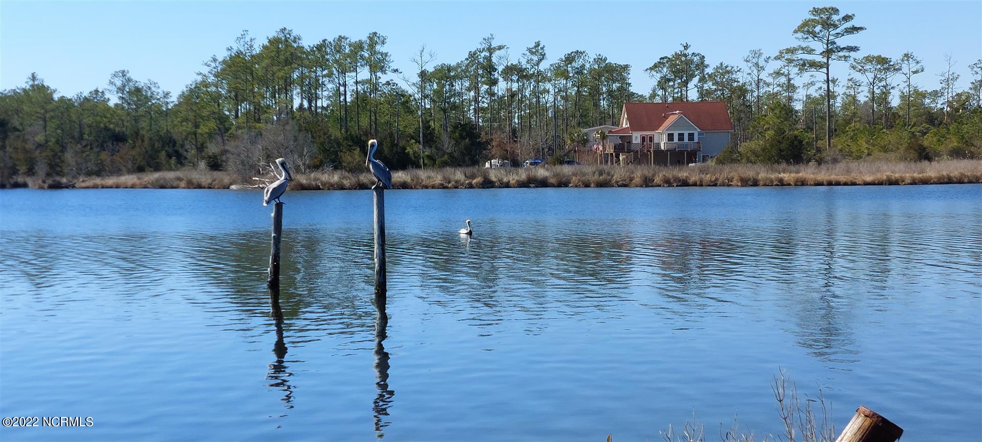 328 Meekins Road Bayboro, NC 28515 - Photo 17 of 18 Pelicans at Roost off Waterfront