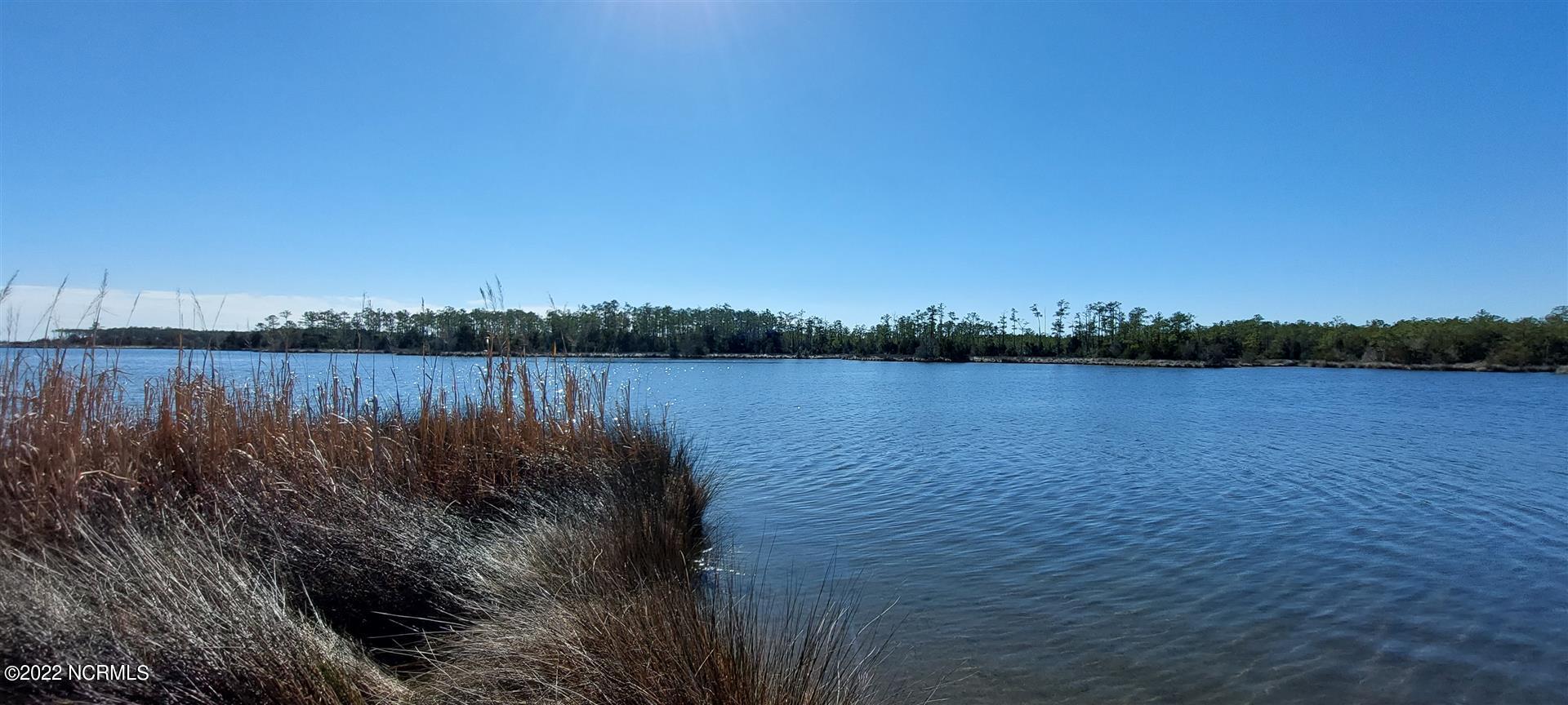 328 Meekins Road Bayboro, NC 28515 - Photo 10 of 18 20220209_112927 (Large)