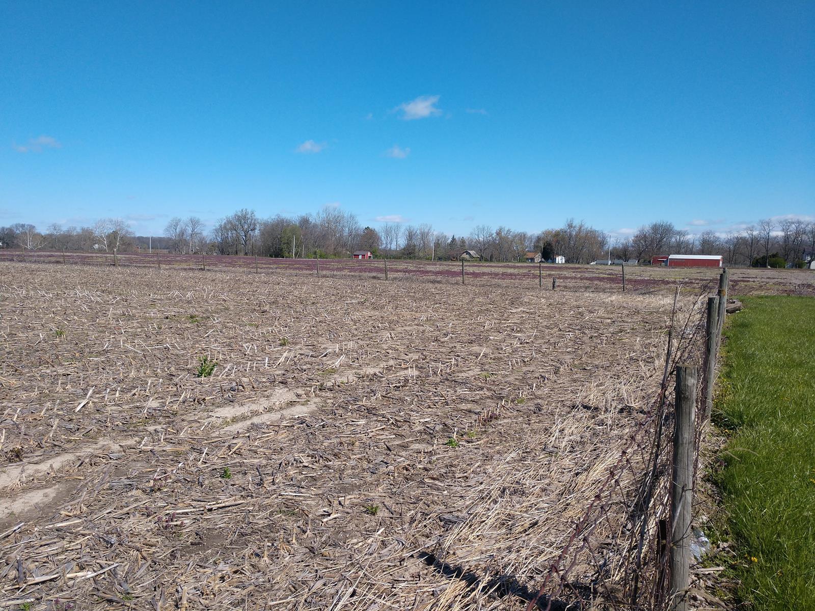 5300 Milton Carlisle Road Springfield, OH 45504 - Photo 10 of 18
