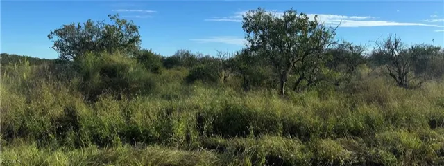 $15,000 | 2581 Wood Avenue, Alford, FL 32420