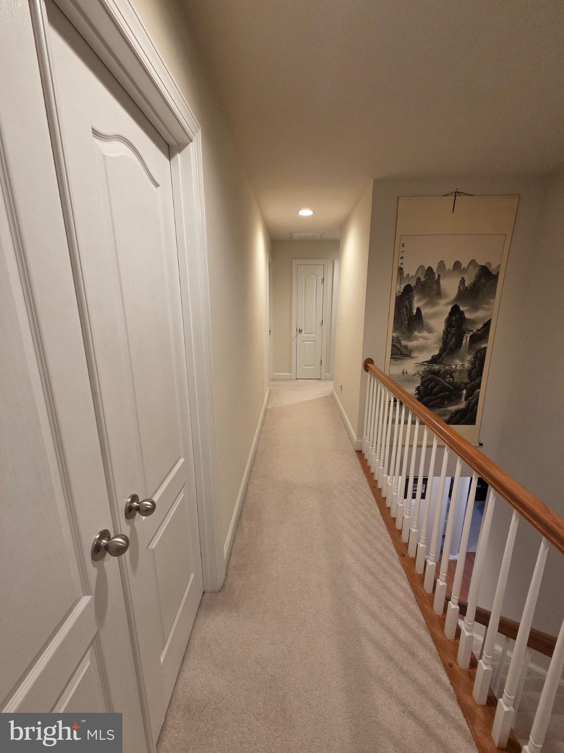 5394 MacDonald Road Woodbridge, VA 22193 - Photo 48 of 70 Inviting hallway with serene artwork.