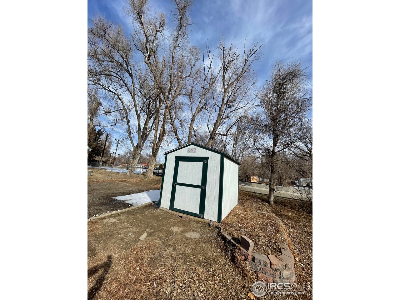 101 Reed Place Longmont, CO 80504 - Photo 32 of 34 a large tree in front of a white house