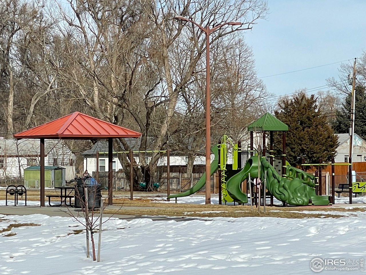 101 Reed Place Longmont, CO 80504 - Photo 7 of 34 a street view with sitting space and trees
