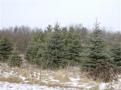 2171 Woodruff Road Hastings, MI 49058 - Photo 6 of 6 Additional Photo