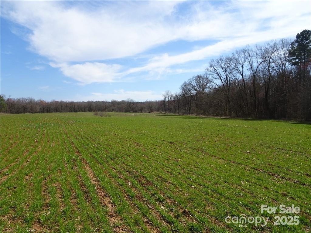 0 Cornflower Road Statesville, NC 28677 - Photo 2 of 2 a view of a field with an ocean