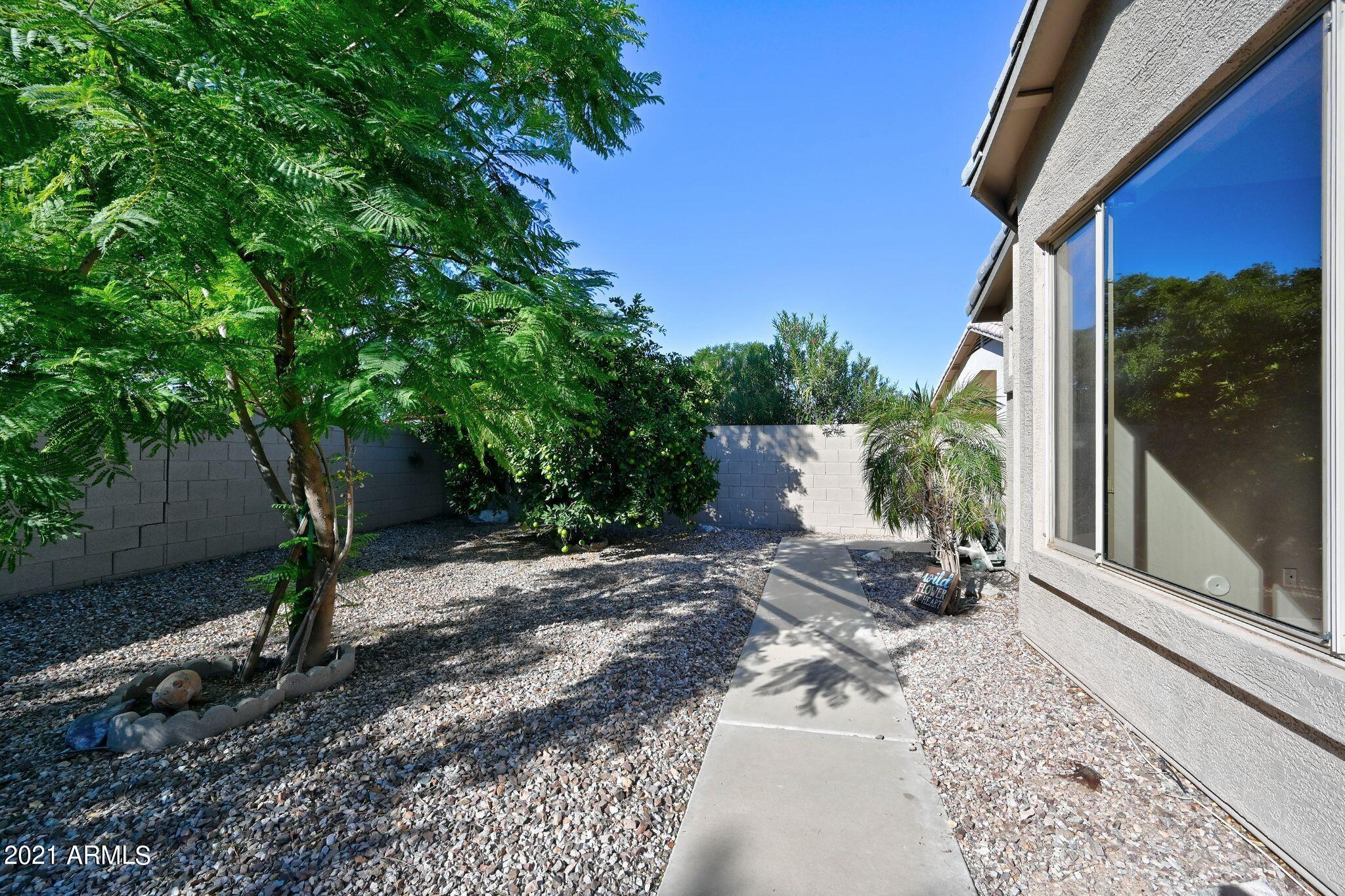 4343 East Walnut Road Gilbert, AZ 85298 - Photo 45 of 56 Backyard 5
