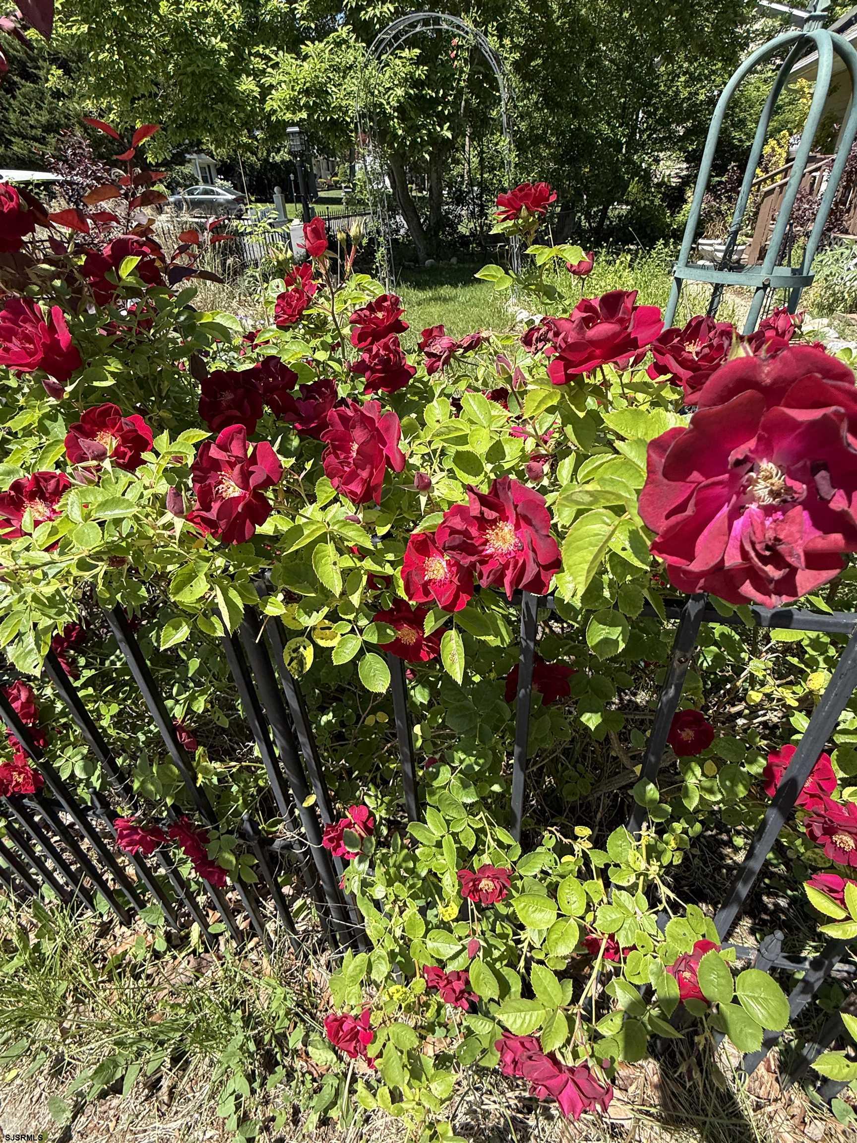 2611 Cedar Bridge Road Northfield, NJ 08225 - Photo 58 of 61