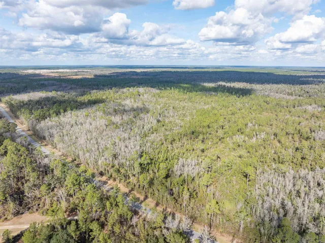 $165,000 | 6 C R 6 East, Jasper, FL 32052