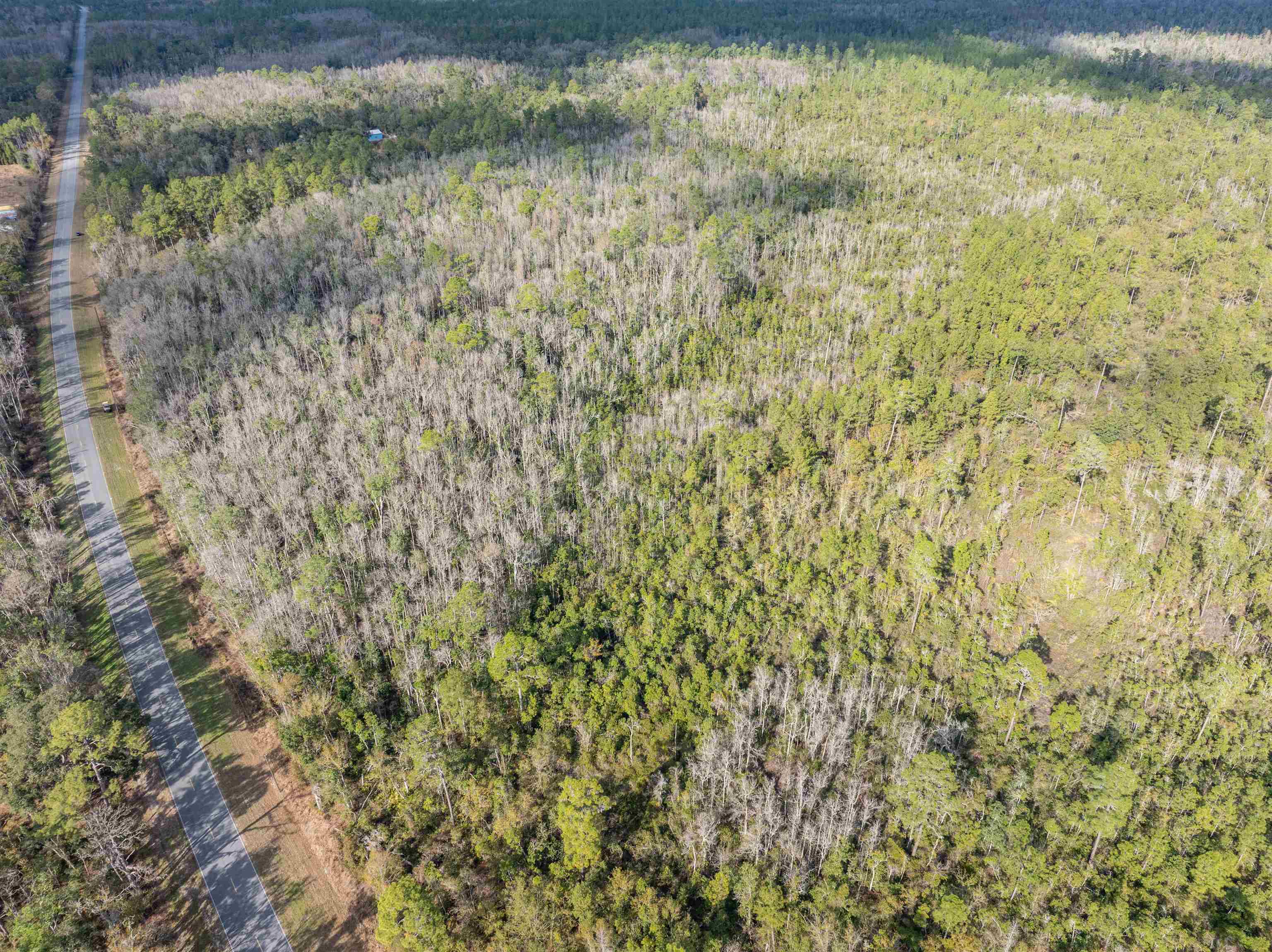 6 C R 6 East Jasper, FL 32052 - Photo 14 of 15