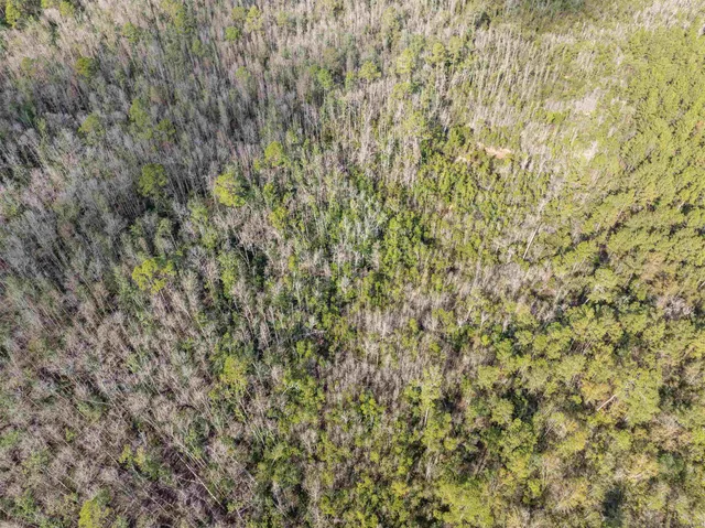 $165,000 | 6 C R 6 East, Jasper, FL 32052