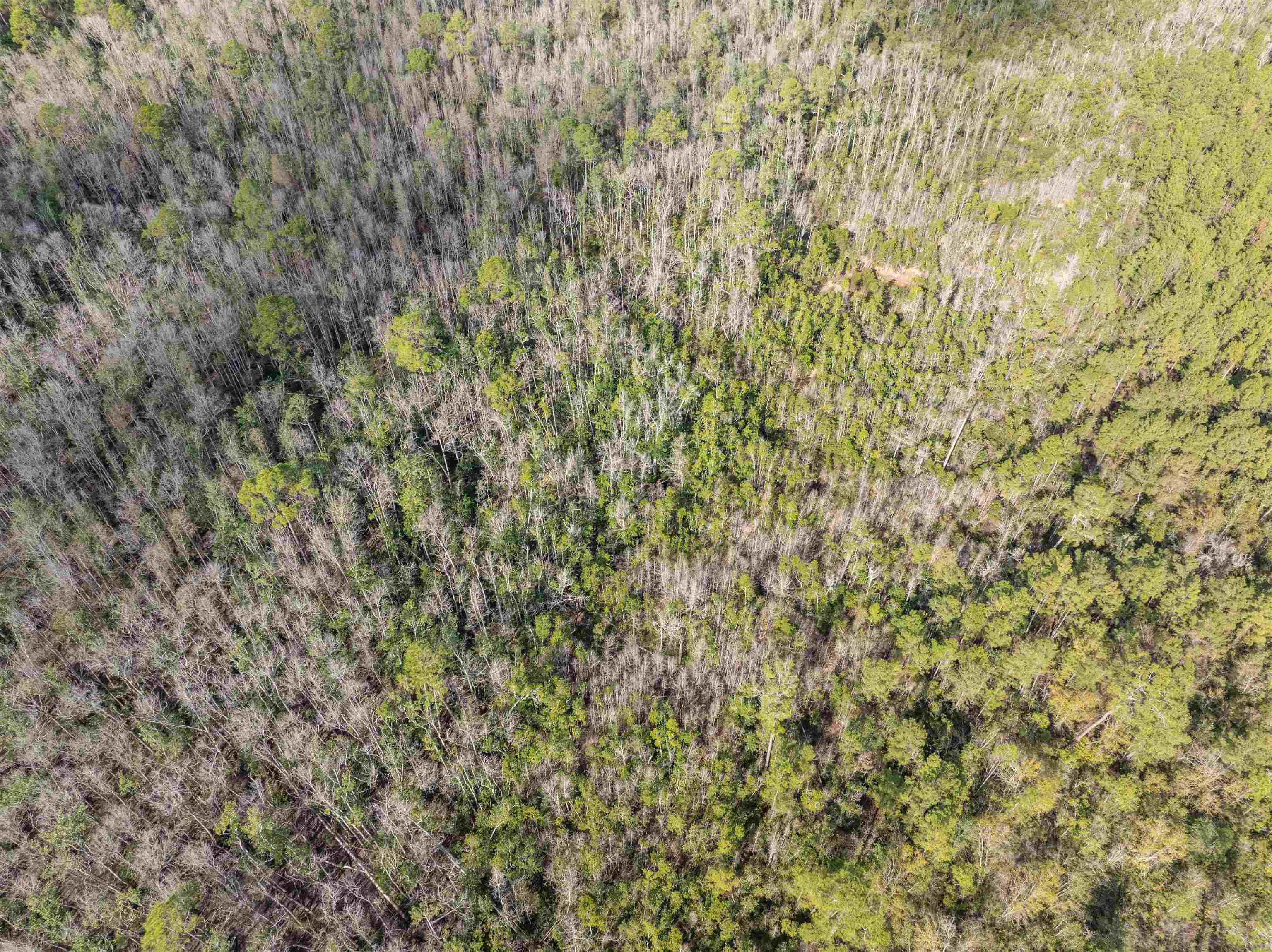 6 C R 6 East Jasper, FL 32052 - Photo 15 of 15