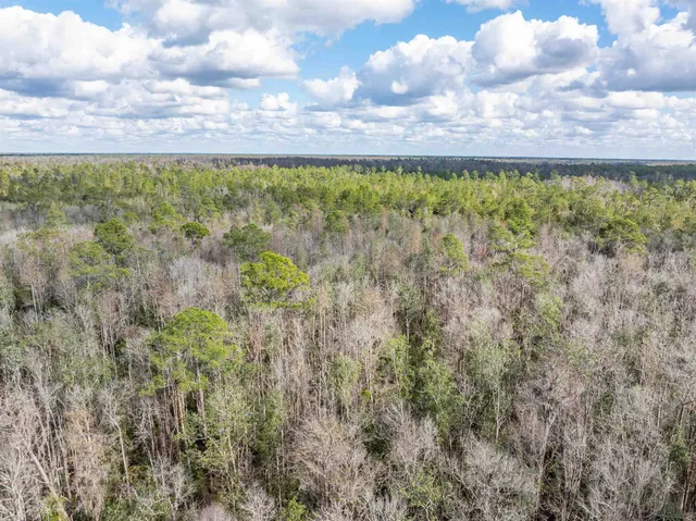 $165,000 | 6 C R 6 East, Jasper, FL 32052