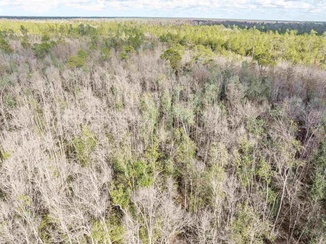 $165,000 | 6 C R 6 East, Jasper, FL 32052