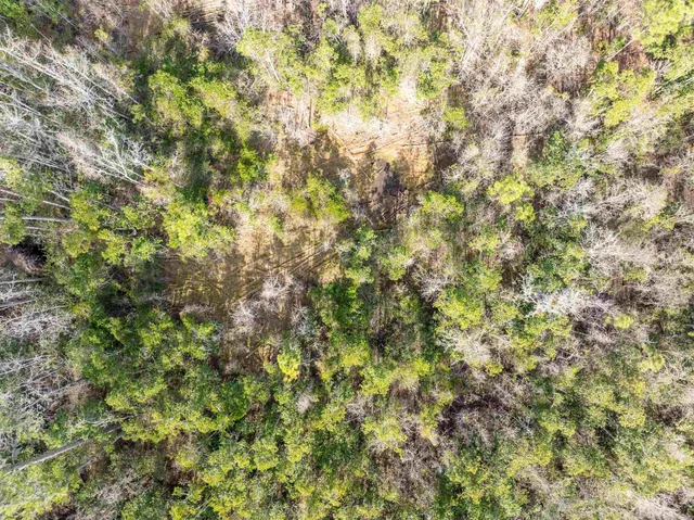 $165,000 | 6 C R 6 East, Jasper, FL 32052