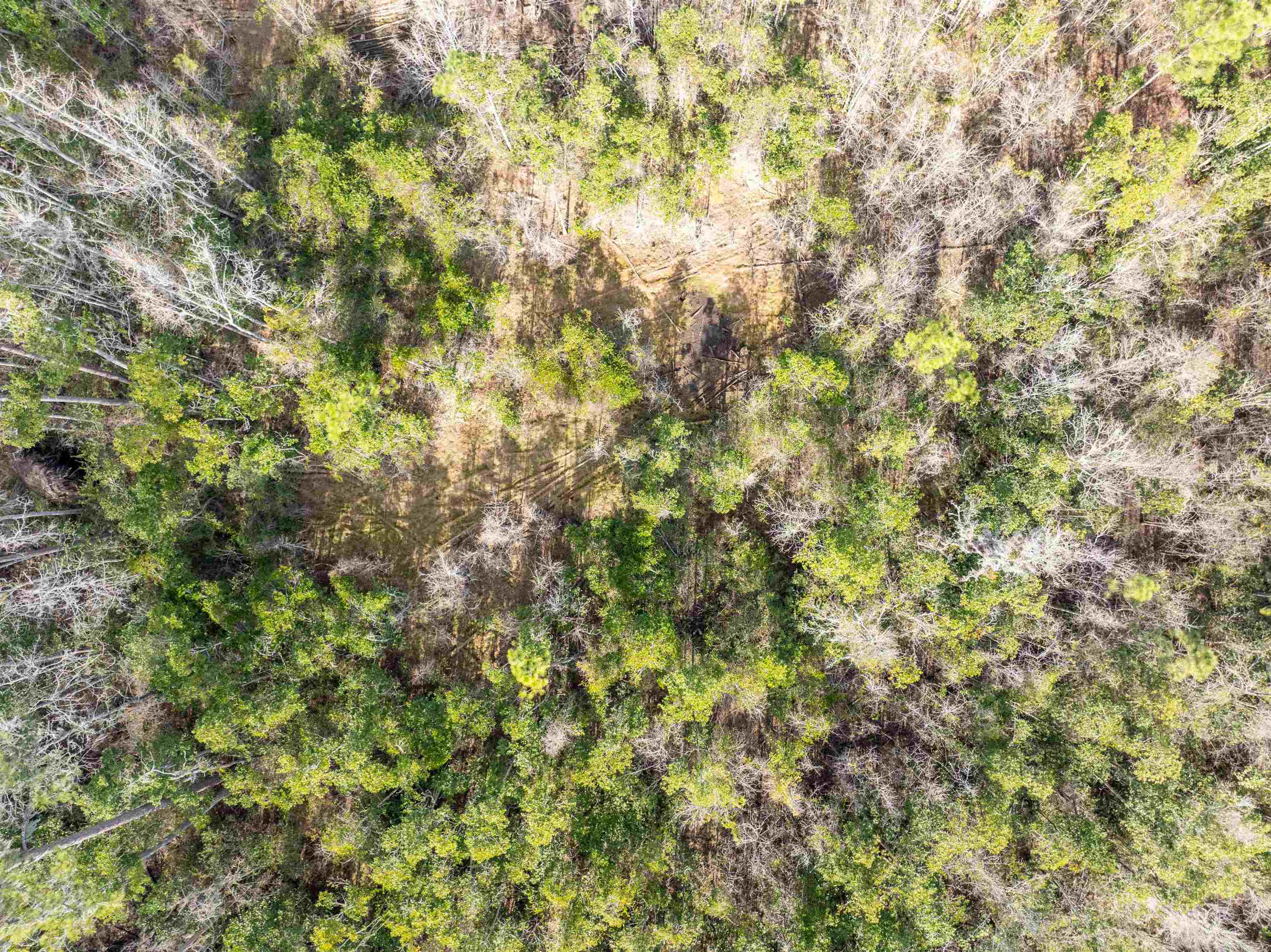 6 C R 6 East Jasper, FL 32052 - Photo 7 of 15