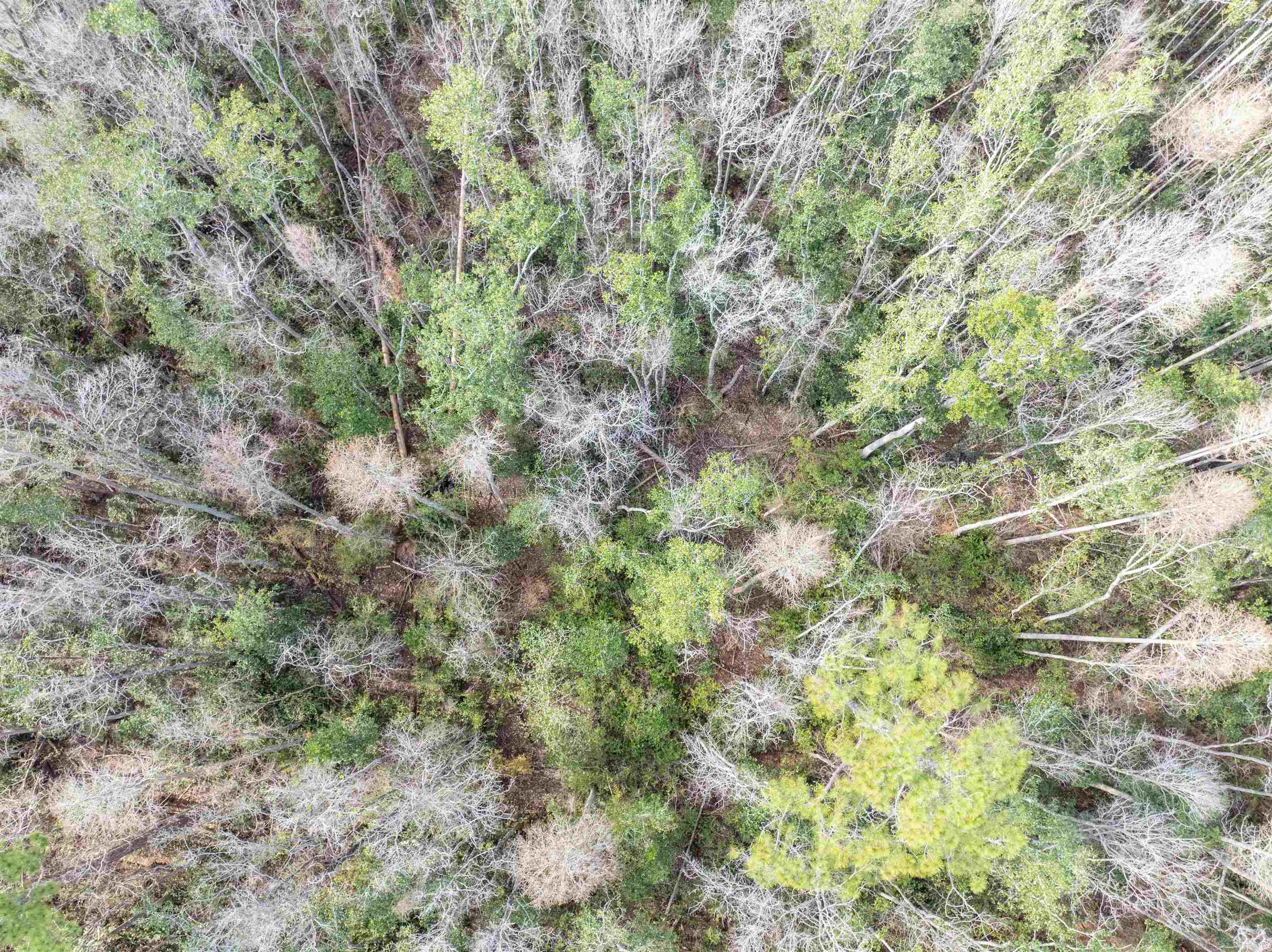 6 C R 6 East Jasper, FL 32052 - Photo 10 of 15