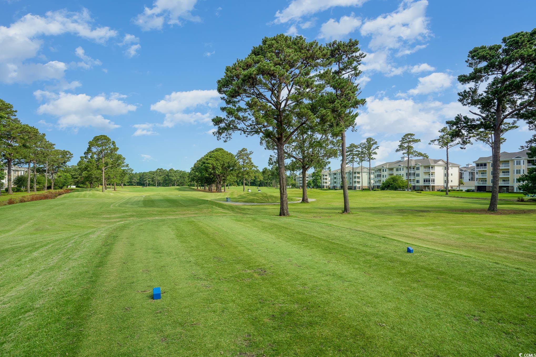 4895 Luster Leaf Circle, Unit 302 Myrtle Beach, SC 29577 - Photo 19 of 20 View of community featuring a yard and view of gol