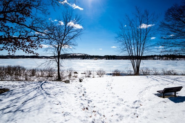 72 Arlington Road Woburn, MA 01801 - Photo 24 of 26 Gallery Image 24