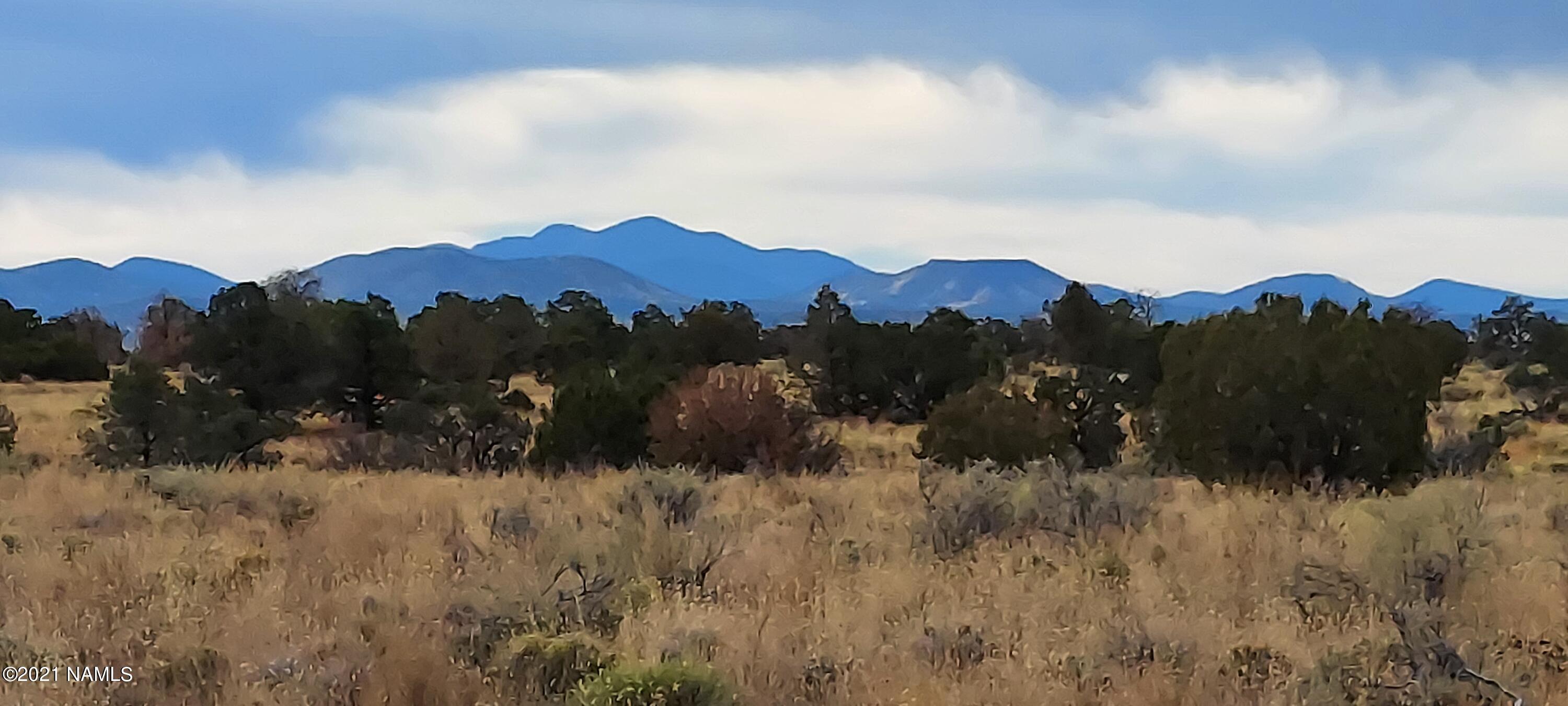 6707 North S Rim Ranch Road, Unit 255 Williams, AZ 86046 - Photo 17 of 63 20211102_101941