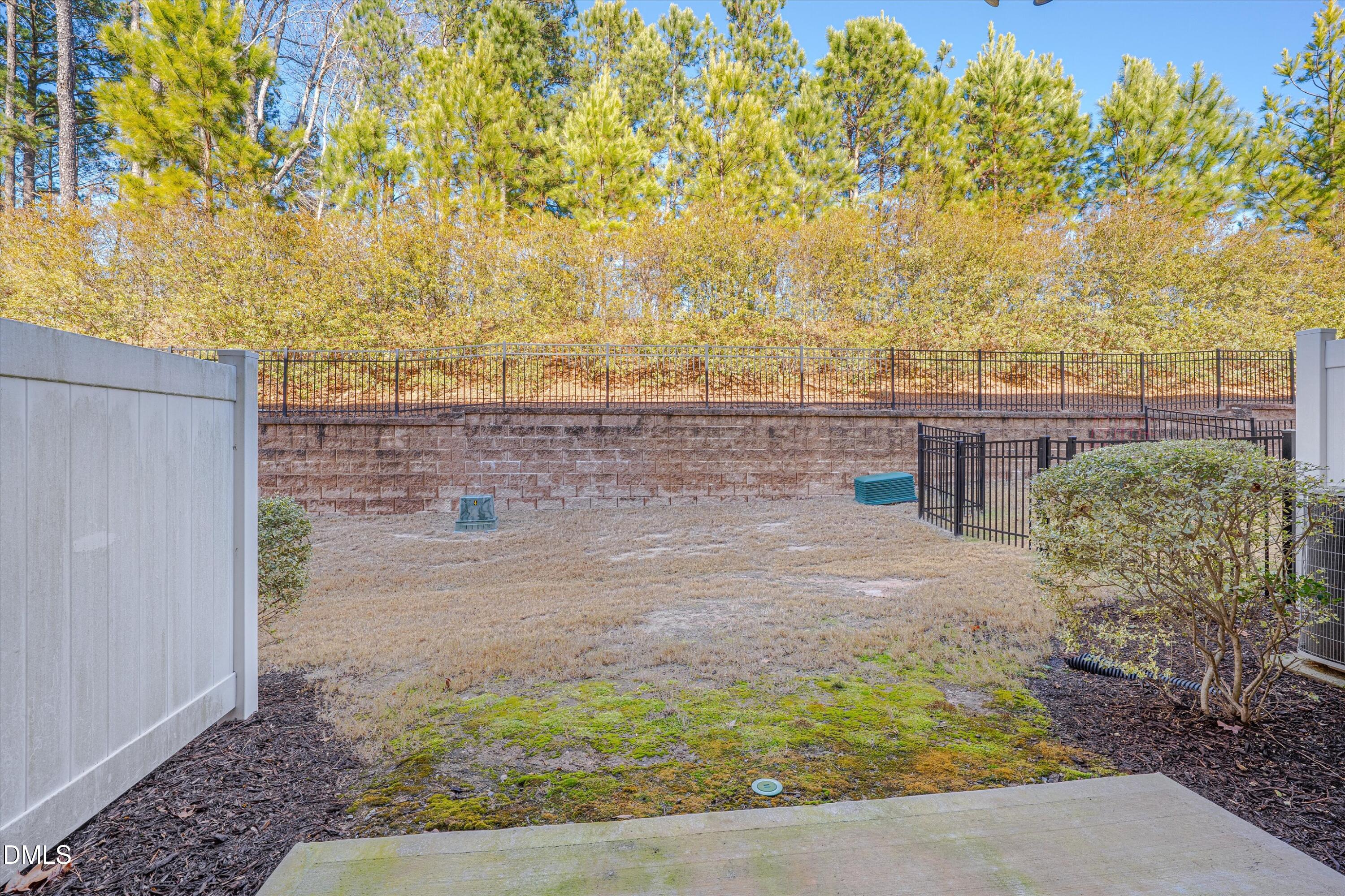 2819 Dallas Valley Lane Apex, NC 27502 - Photo 37 of 38 a view of a backyard