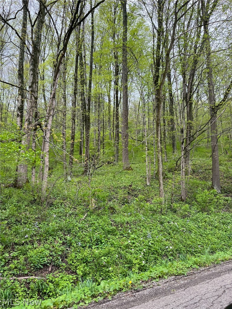 Sandy Ridge Road Tippecanoe, OH 44699 - Photo 17 of 21