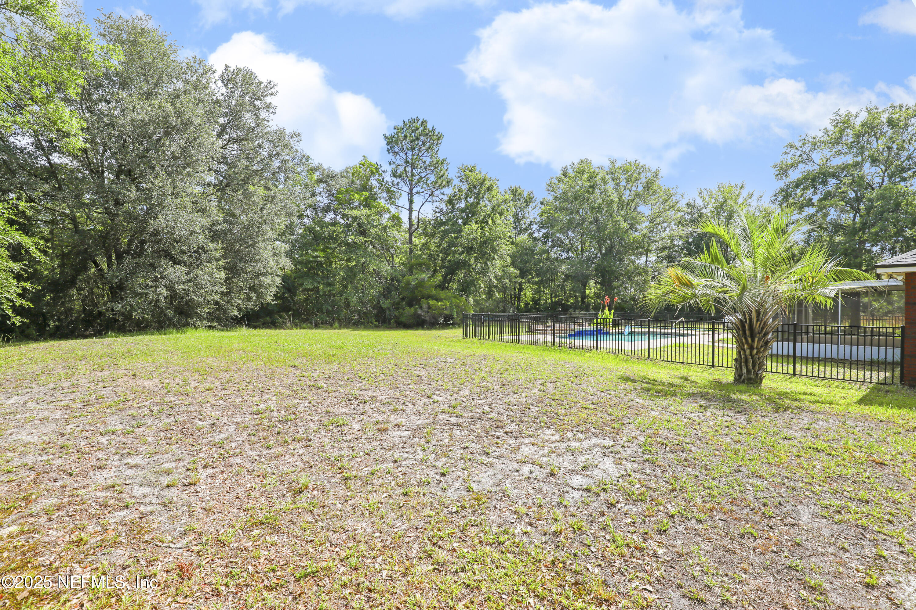 3784 Charles Green Road Hilliard, FL 32046 - Photo 38 of 41 37 Backyard