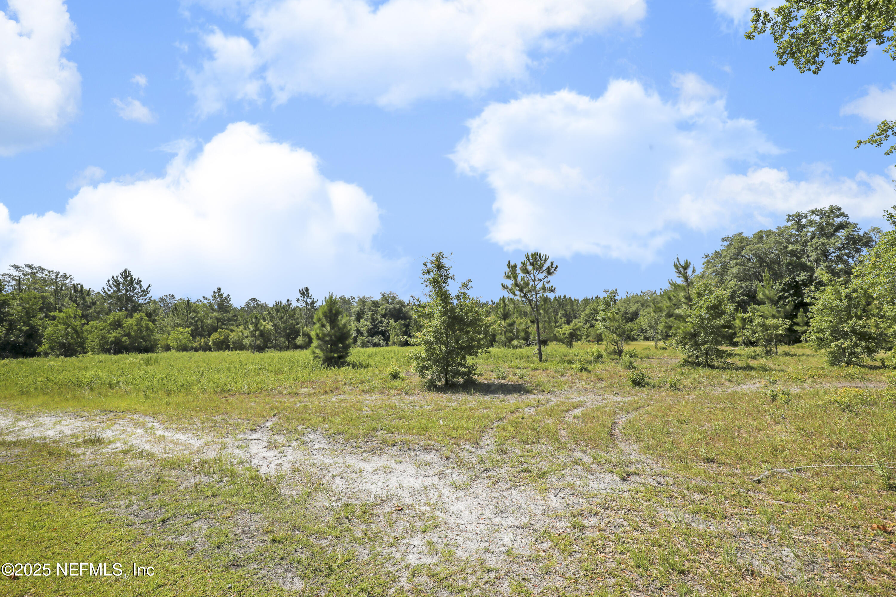 3784 Charles Green Road Hilliard, FL 32046 - Photo 40 of 41 39 Across The Street View