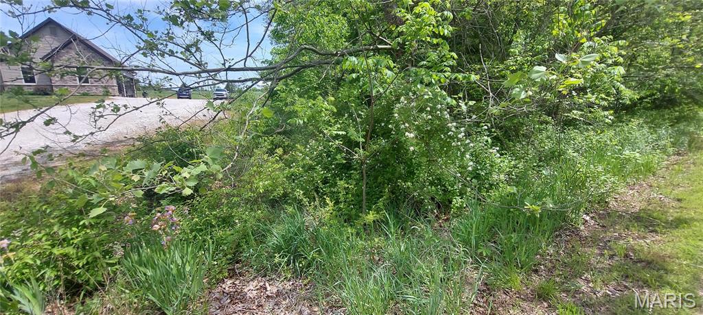 2827 Oberhelman Road Foristell, MO 63348 - Photo 9 of 11