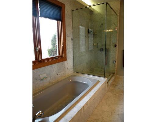 183 Hill Place Road Venetia, PA 15367 - Photo 10 of 18 Master Bath/Spa.