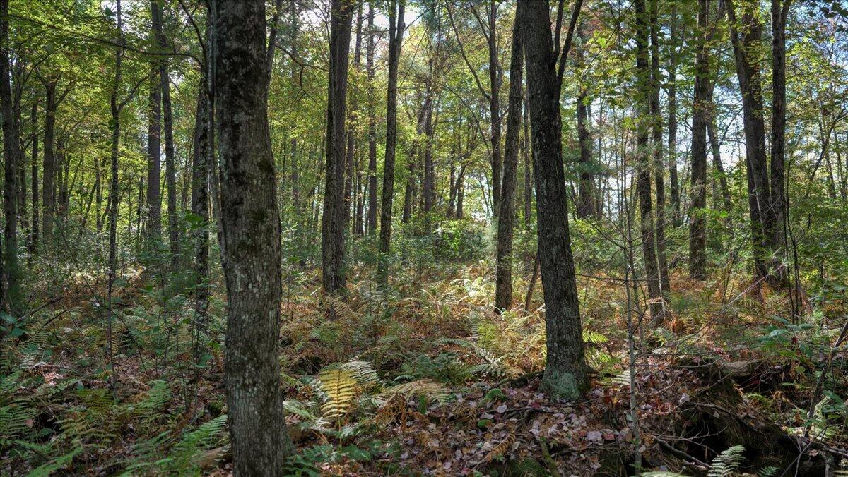 0 Highway 12 Tomah, WI 54660 - Photo 1 of 1 102-DSC05620_96