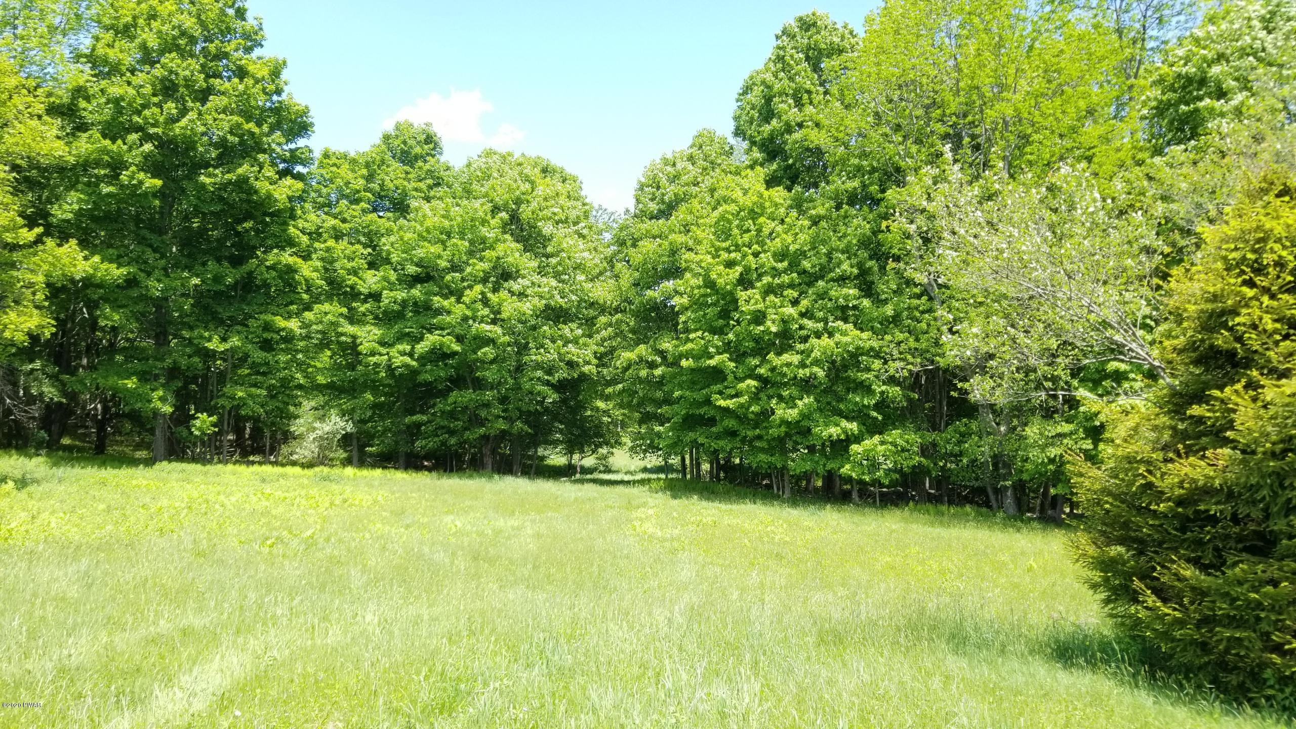 29 Fall Brook Road Starlight, PA 18461 - Photo 31 of 35 Perfect for horses