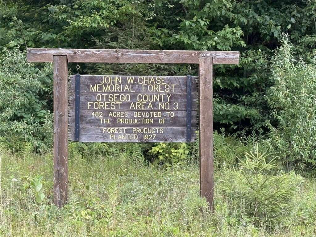 Van Cleef Road Roseboom, NY 13450 - Photo 1 of 24