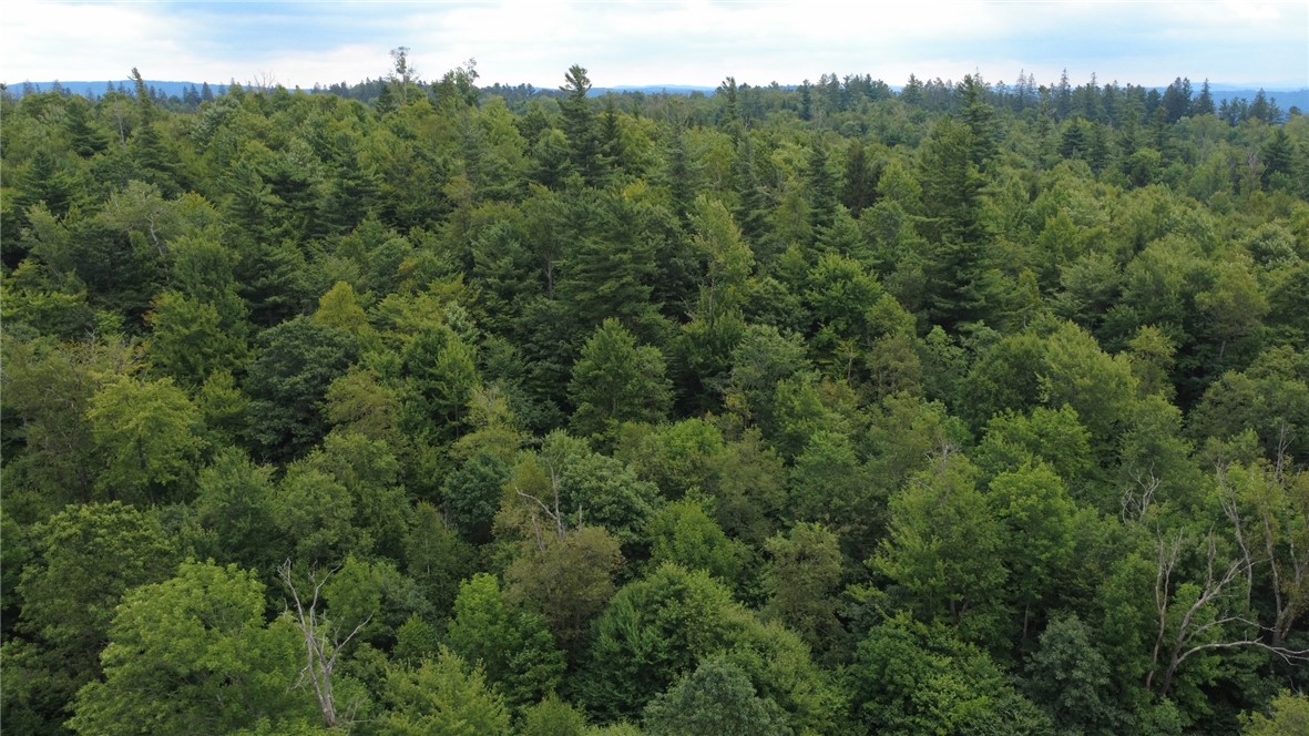 Van Cleef Road Roseboom, NY 13450 - Photo 11 of 24