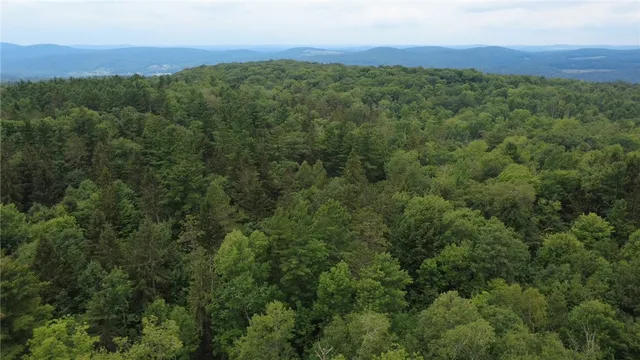 $179,000 | Van Cleef Road, Roseboom, NY 13450