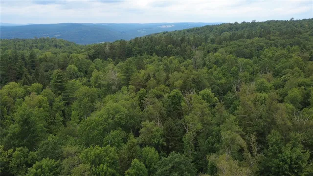 $179,000 | Van Cleef Road, Roseboom, NY 13450