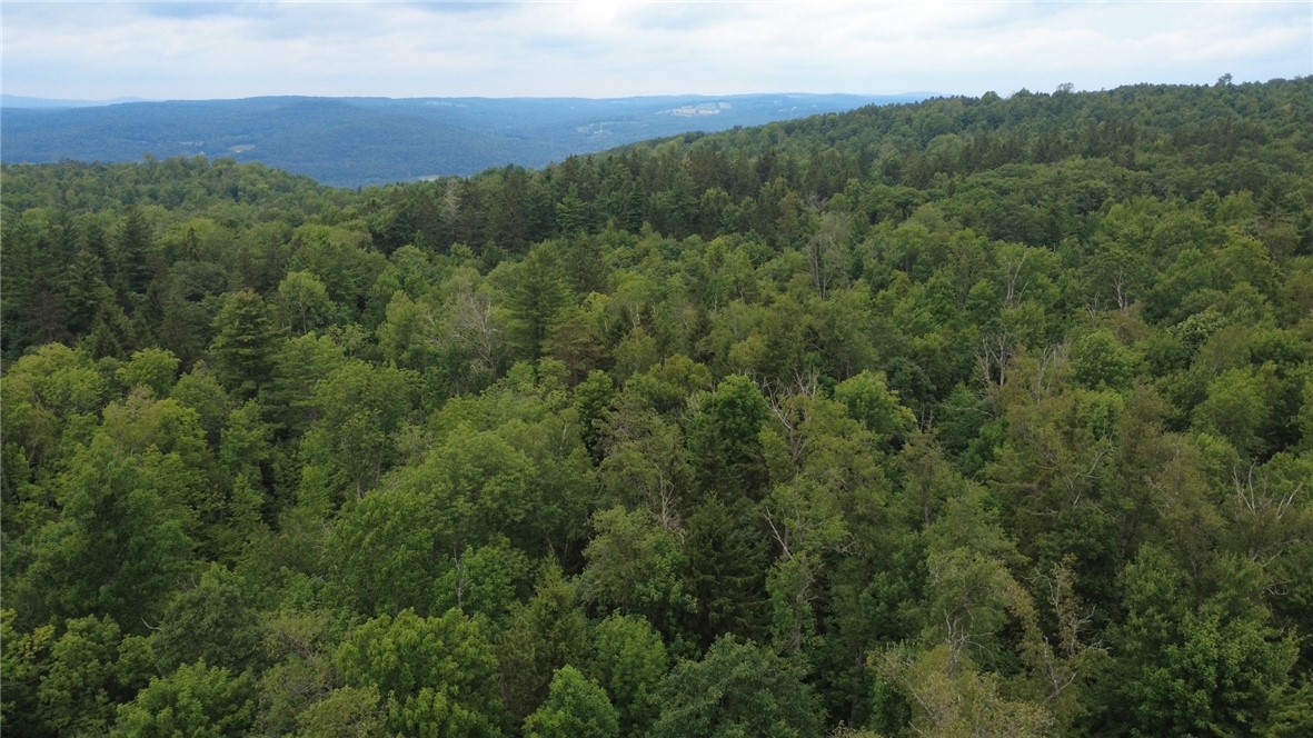 Van Cleef Road Roseboom, NY 13450 - Photo 13 of 24