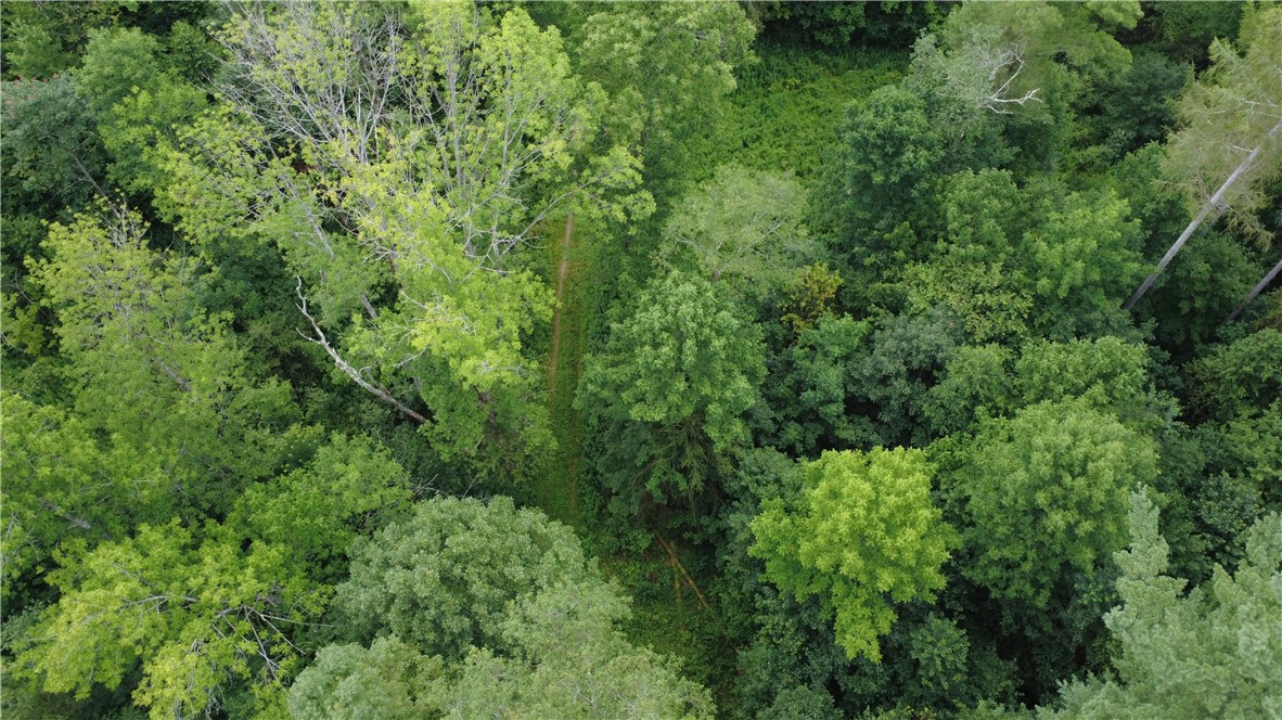 Van Cleef Road Roseboom, NY 13450 - Photo 15 of 24