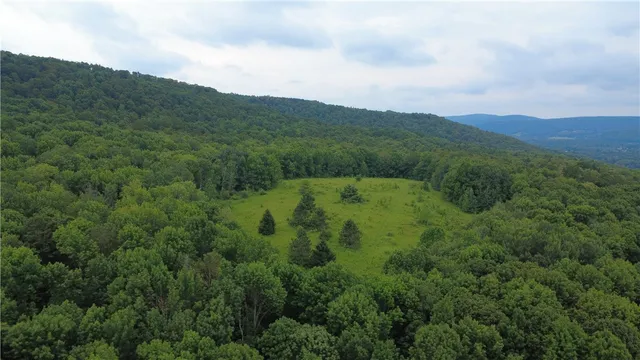 $179,000 | Van Cleef Road, Roseboom, NY 13450