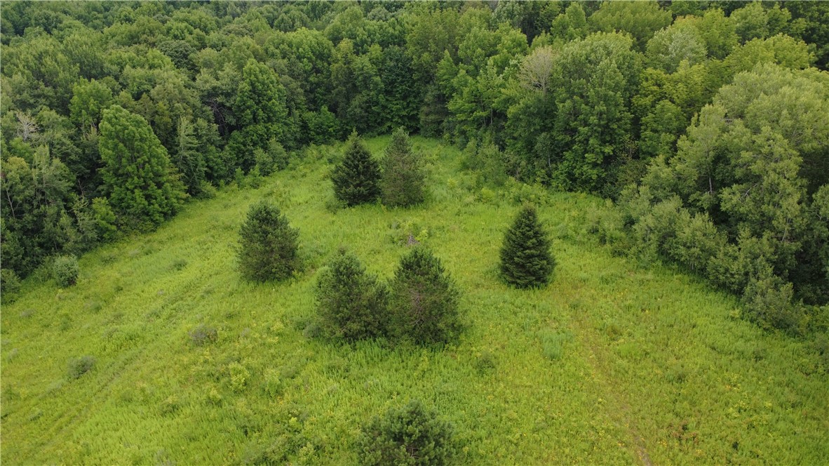 Van Cleef Road Roseboom, NY 13450 - Photo 18 of 24