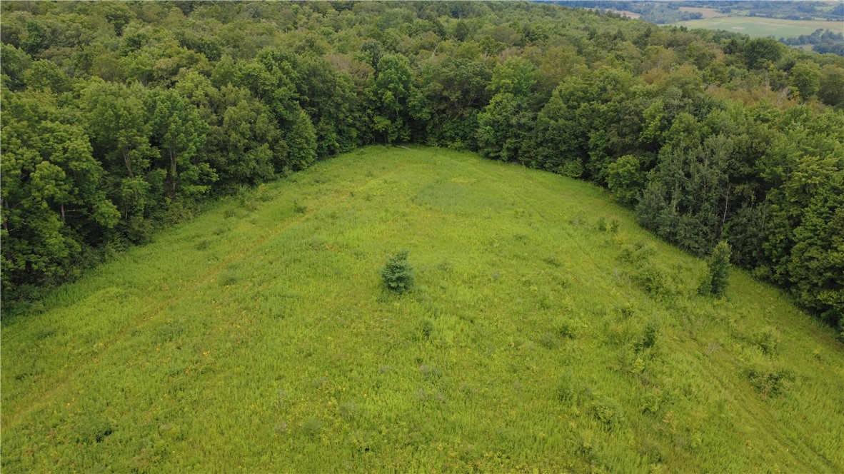 Van Cleef Road Roseboom, NY 13450 - Photo 19 of 24