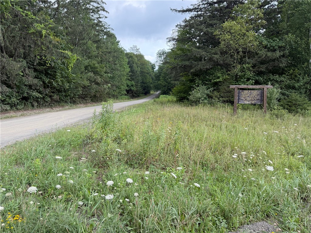 Van Cleef Road Roseboom, NY 13450 - Photo 2 of 24