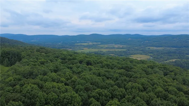 $179,000 | Van Cleef Road, Roseboom, NY 13450